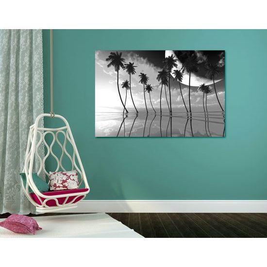 Obraz západ slnka v čiernobielom prevedení