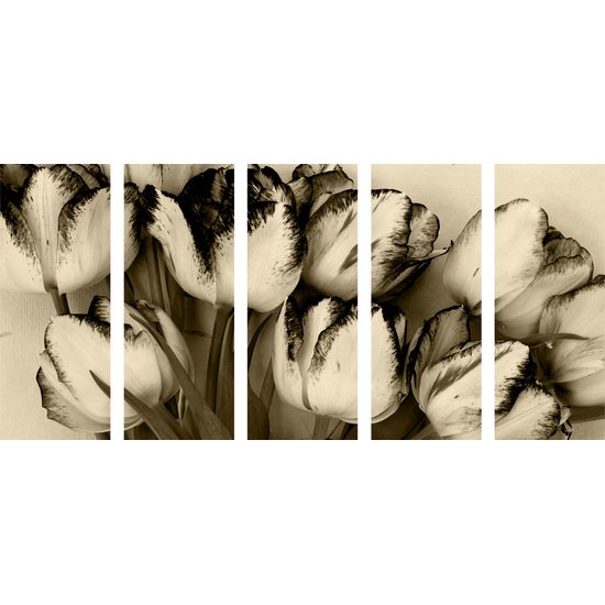 5-dielny obraz rozkvitnuté tulipány v sépiovom prevedení