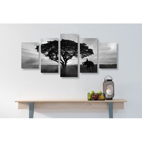 5-dielny obraz obraz nádherný slon v čiernobielom prevedení