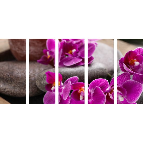 5-dielny obraz Feng Shui zátišie s orchideou