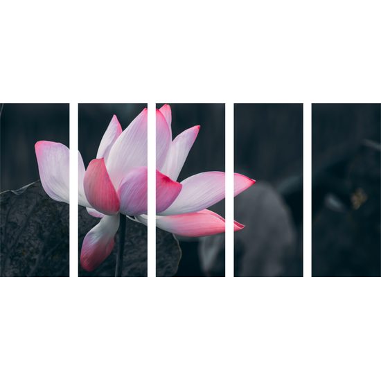 5-dielny obraz nádherny kvet