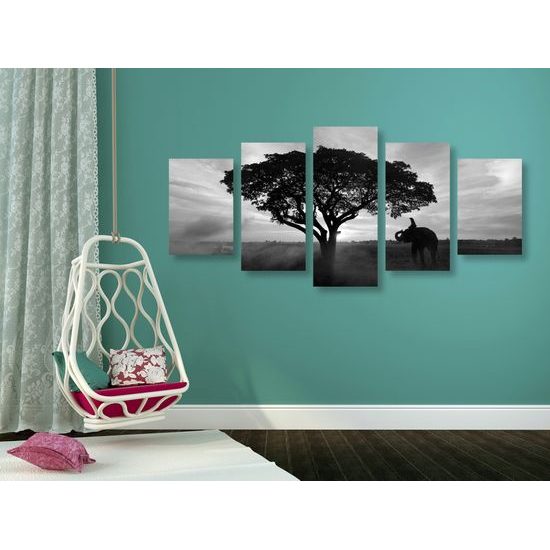 5-dielny obraz obraz nádherný slon v čiernobielom prevedení