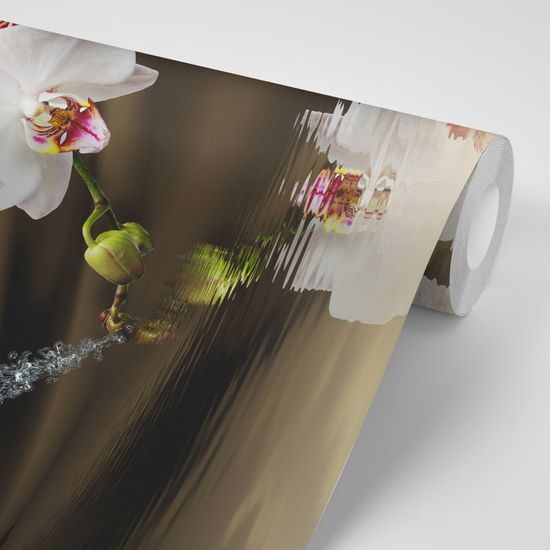 Samolepiaca tapeta harmónia motýľa s orchideou
