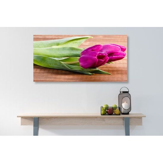 Obraz nádherné fialové tulipány