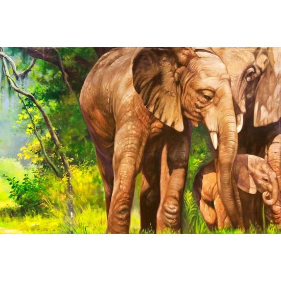 Obraz slony v oáze
