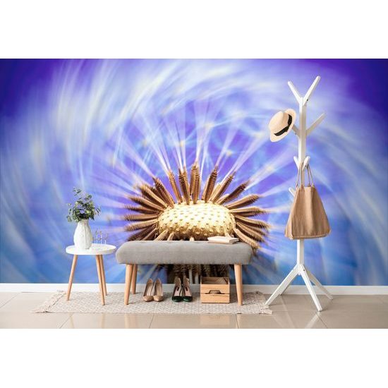 Tapeta neobyčajná púpava s fialovým pozadím