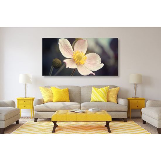 Obraz detail krásneho kvetu