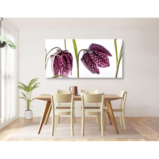 Obraz zaujímavý kvet zvončeka