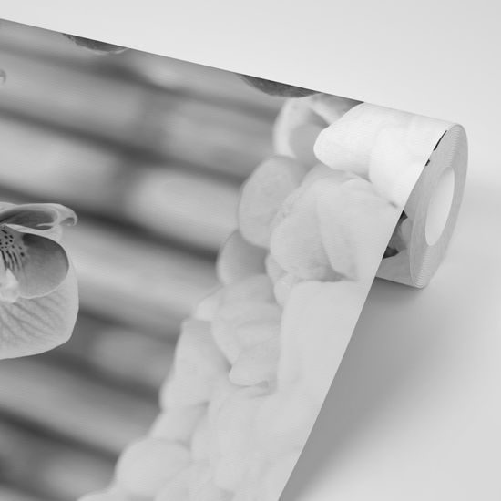 Samolepiaca fototapeta nádherná zen záhrada v čiernobielom prevedení