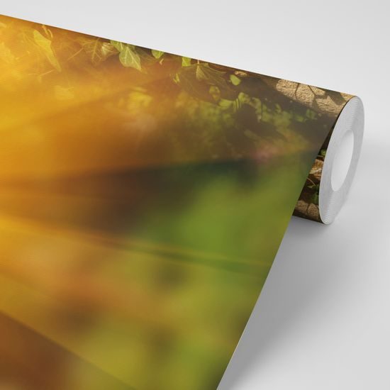 Samolepiaca fototapeta anjel v žiare slnka