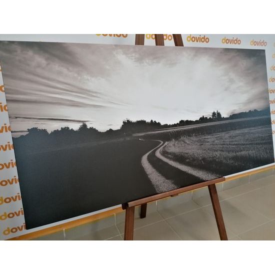 Obraz zapadajúce slnko nad krajinou v čiernobielom prevedení