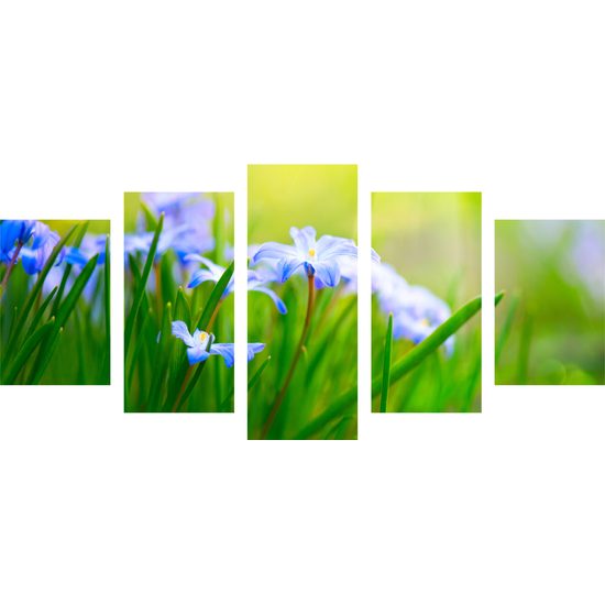 5-dielny obraz lúčne kvety na zelenej tráve