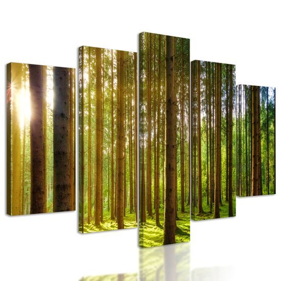 5-dielny obraz lúče slnka medzi stromami