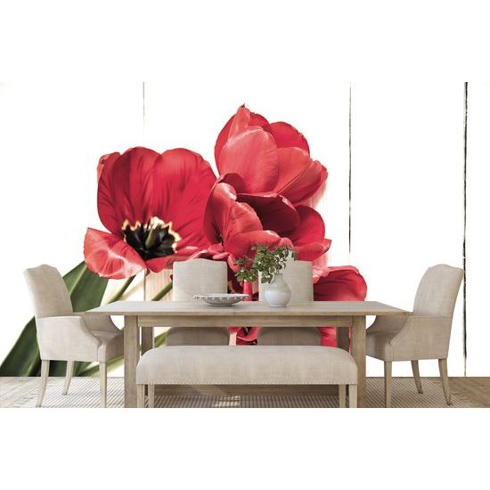 Fototapeta ohnivočervené tulipány