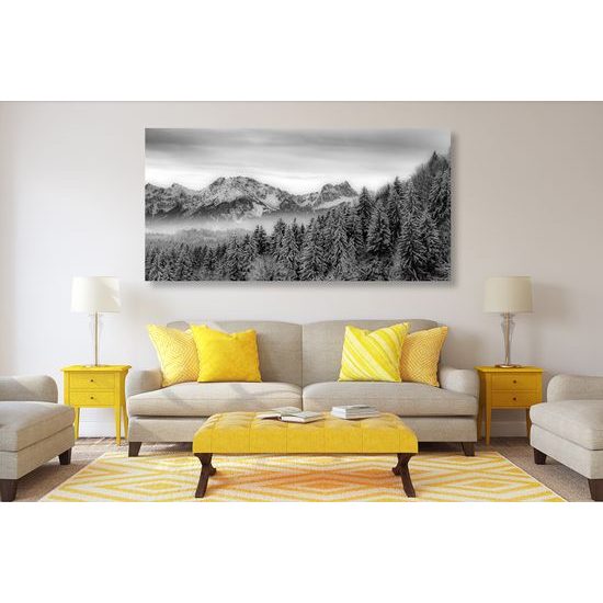 Obraz zamrznutý les v čiernobielom prevedení