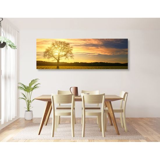 Obraz slnko zapadajúce za les