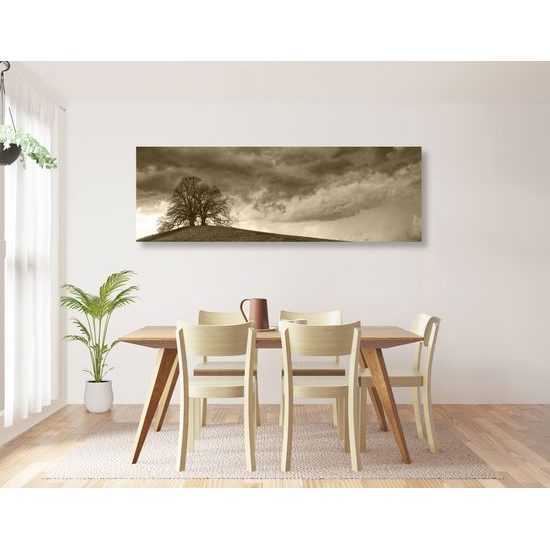 Obraz stromy na vrchole kopca v sépiovom prevedení