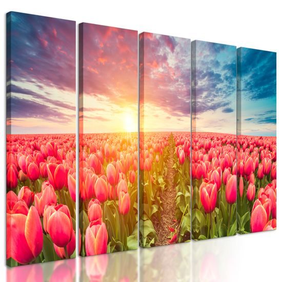 5-dielny obraz západ slnka nad rozkvinutými tulipánmi
