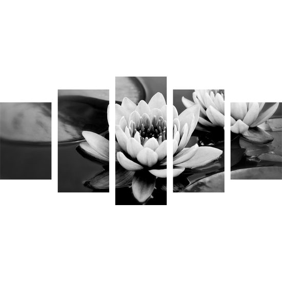 5-dielny obraz lekno v čiernobielom prevedení