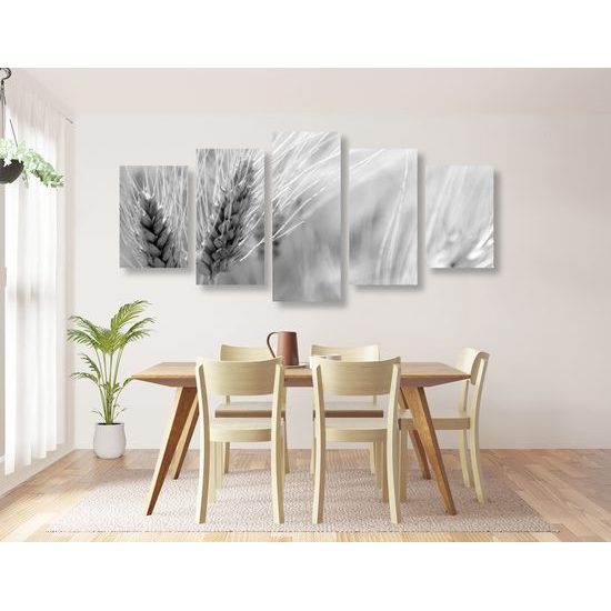 5-dielny obraz detail pšenice v čiernobielom prevedení