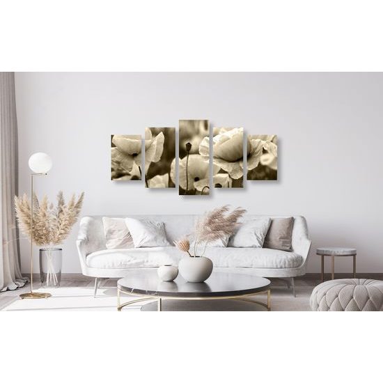 5-dielny obraz jedinečné divé maky v sépiovom prevedení