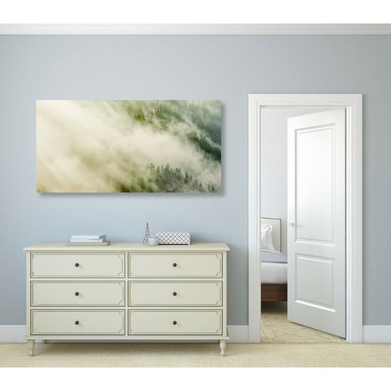 Obraz les zahalený do hmly