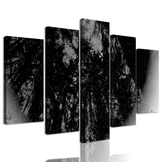 5-dielny obraz abstrakcia tropického lesa v čiernobielom prevedení