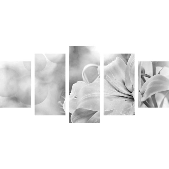 5-dielny obraz nežná ľalia v čiernobielom prevedení