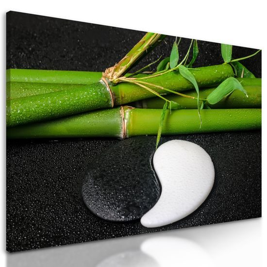 Obraz Jin a Jang zátišie