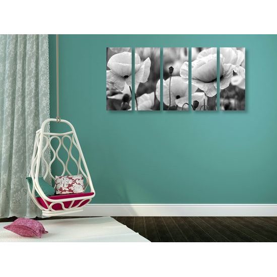 5-dielny obraz jedinečné divé maky v čiernobielom prevedení