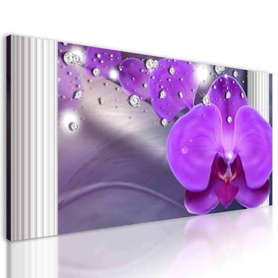 Obraz luxusná orchidea
