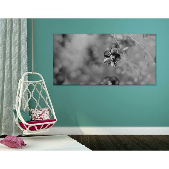 Obraz jarný kvietok v čiernobielom prevedení