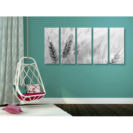 5-dielny obraz detail pšenice v čiernobielom prevedení