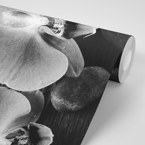 Samolepiaca fototapeta orchidea na zen kameňoch v čiernobielom prevedení