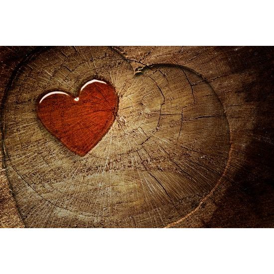Obraz malebné srdce na pni