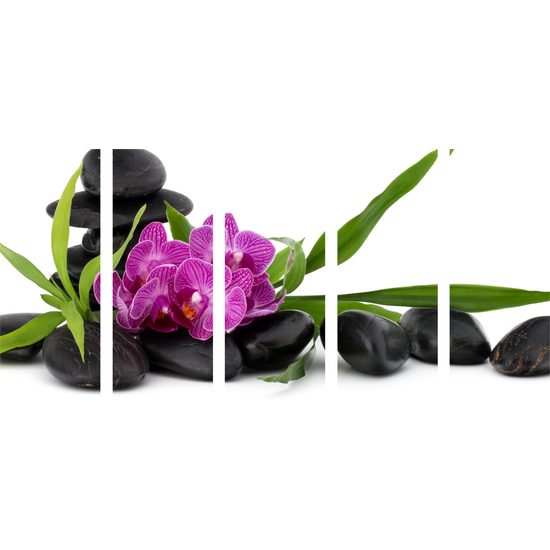 5-dielny obraz krásny kvet orchidei v SPA zátiší