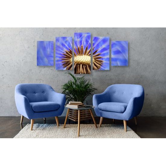 5-dielny obraz čarovná púpava