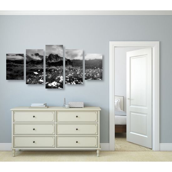 5-dielny obraz rozkvitnutá lúka v čiernobielom prevedení