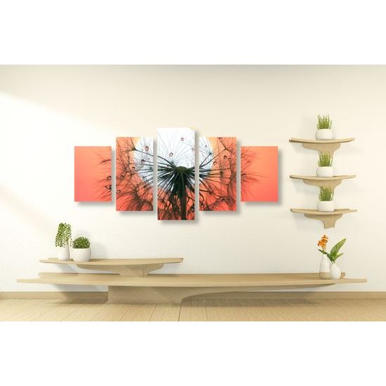 5-dielny obraz kvapky vody na púpave