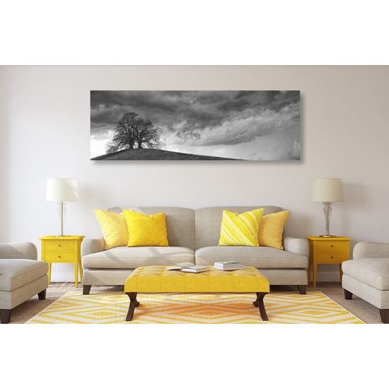 Obraz stromy na vrchole kopca v čiernobielom prevedení