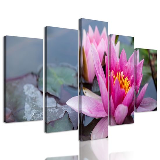 5-dielny obraz nádherné ružové lekno
