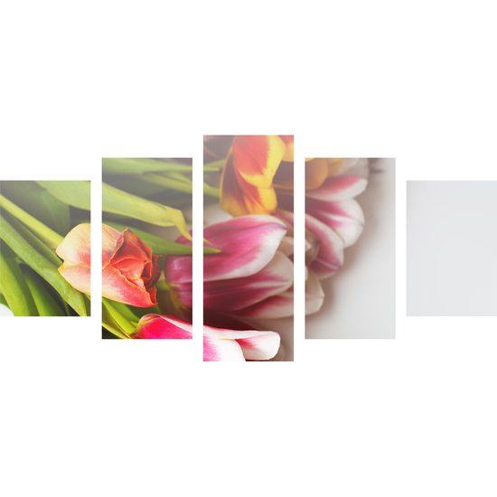 5-dielny obraz nádherne sfarbené tulipány