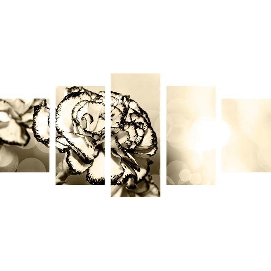 5-dielny obraz nádherný karafiát v sépiovom prevedení