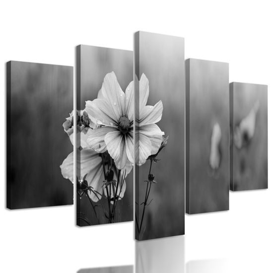 5-dielny obraz kvitnúce lúčne kvety v čiernobielom prevedení