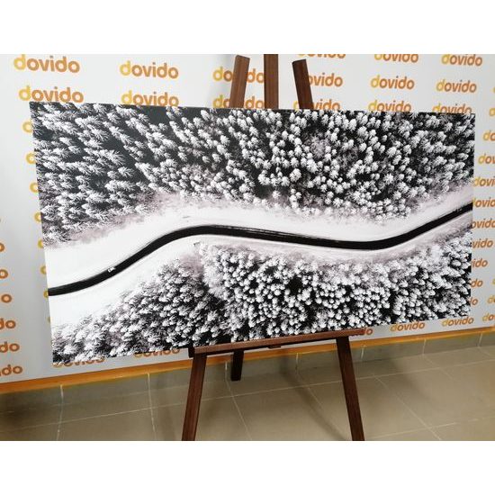 Obraz cesta cez zasnežený les v čiernobielom prevedení