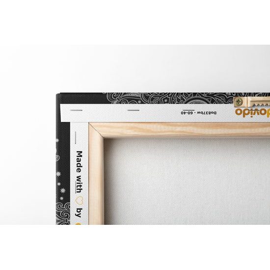 Obraz starodávna Mandala v čiernobielom prevedení