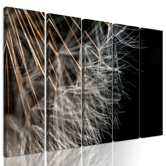 5-dielny obraz detail púpavy