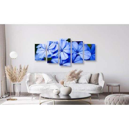 5-dielny obraz krásne nebesky modré kvety