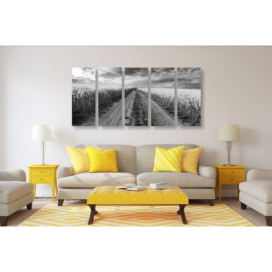 5-dielny obraz cesta v strede poľa v čiernobielom prevedení