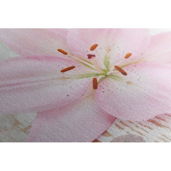 Obraz ružový kvet na drevenom podklade